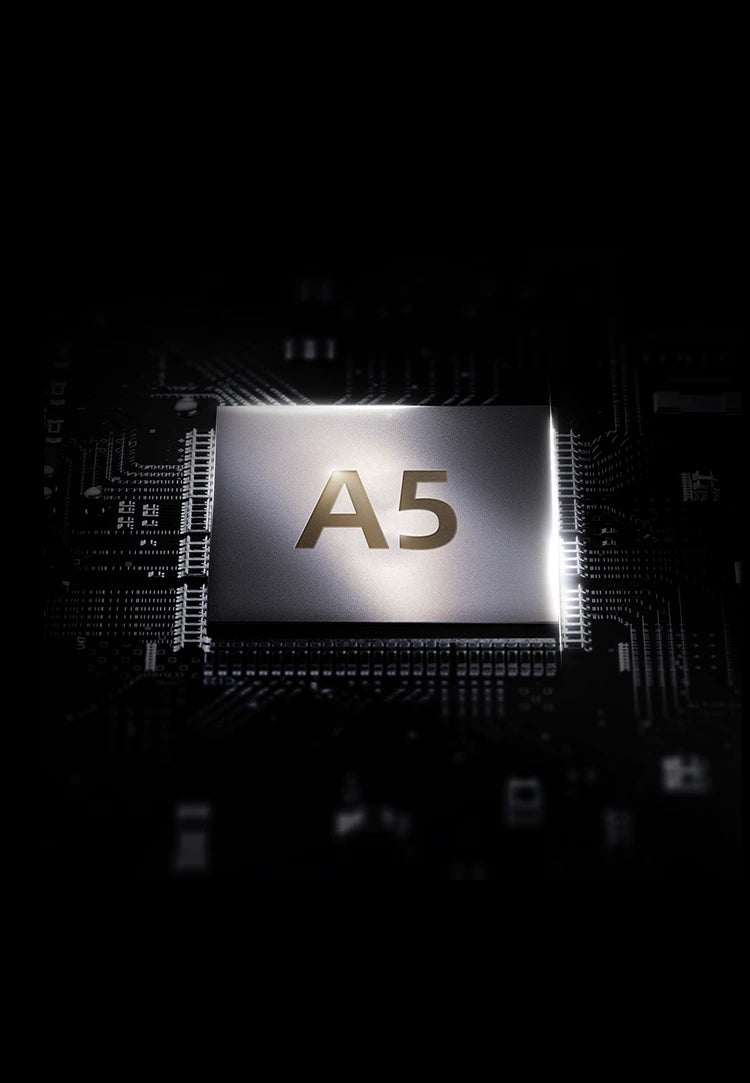 Agent Q Alligator Collector’s Edition